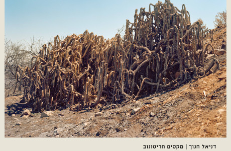 #70 | מוכי שמש